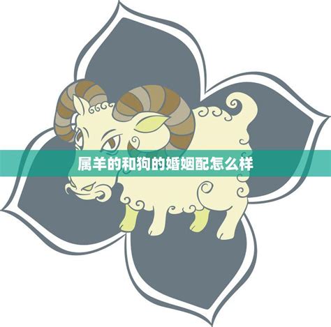 羊跟狗|属羊和属狗的相配吗 属羊和属狗的合得来吗